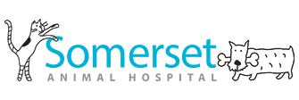 Link to Homepage of Somerset Animal Hospital